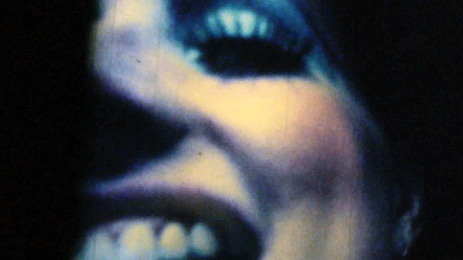 Barbara Hammer Program